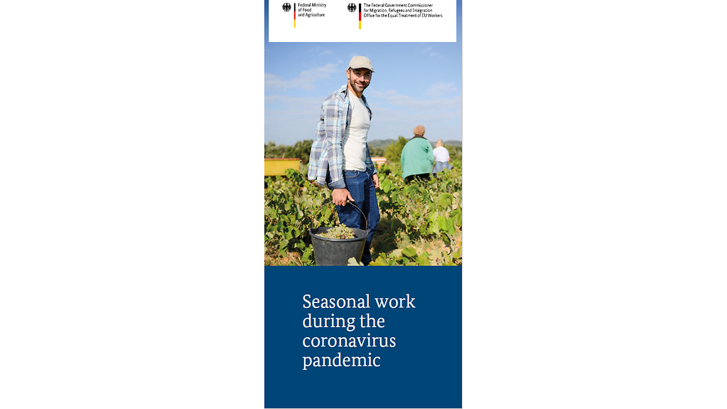 Flyer – Seasonal work during the coronavirus pandemic (EN)